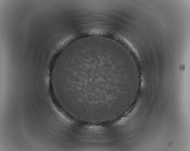 X0000097920637200803141442