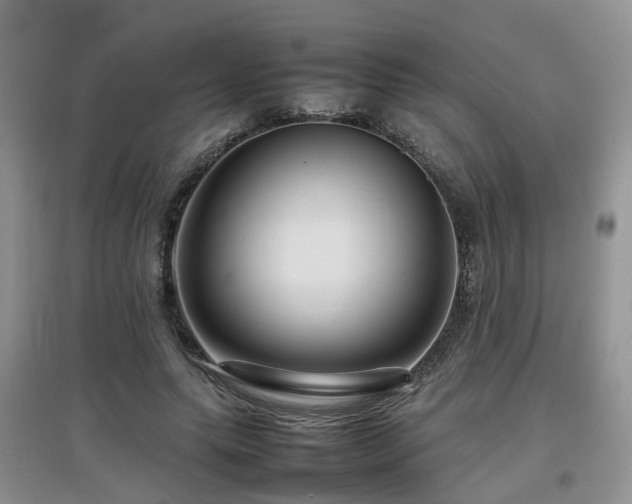 X0000097920639200803141442