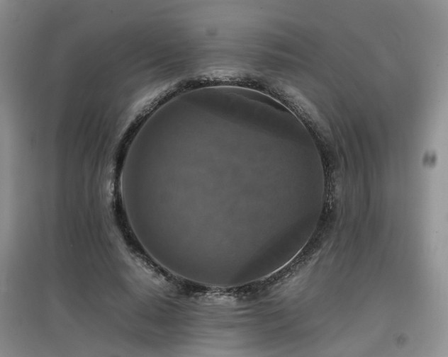 X0000097920640200803141442