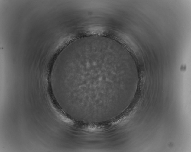 X0000097920641200803141442