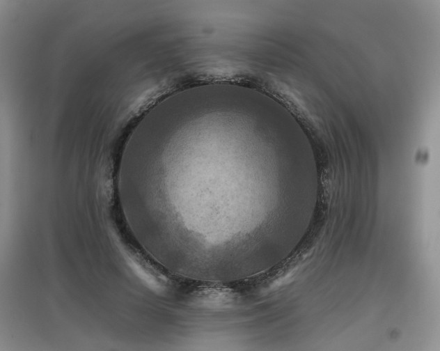 X0000097920642200803141442