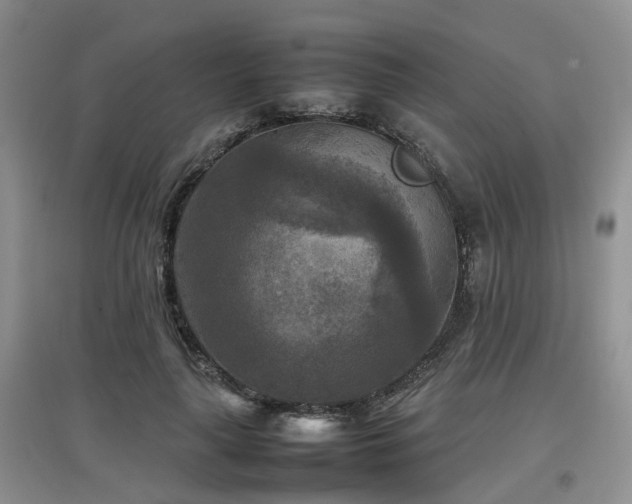 X0000097920643200803141442