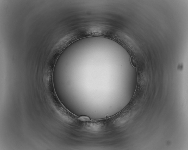 X0000097920645200803141442