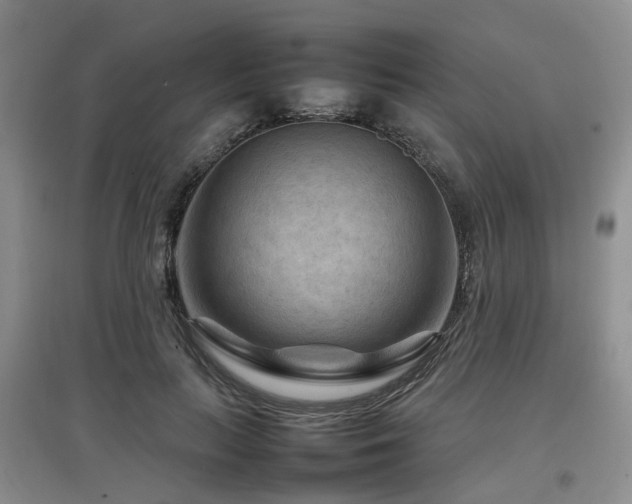 X0000097920647200803141442