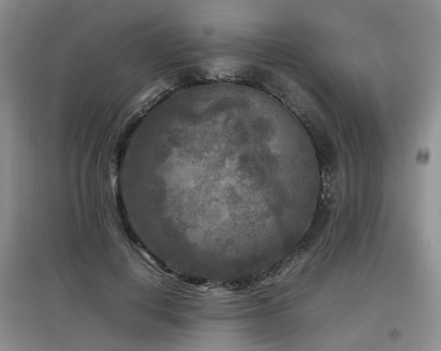 X0000097920648200803141442
