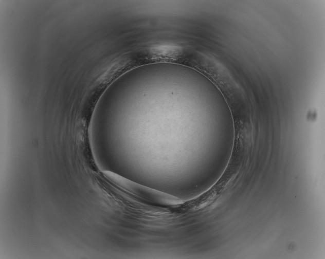 X0000097920649200803141442