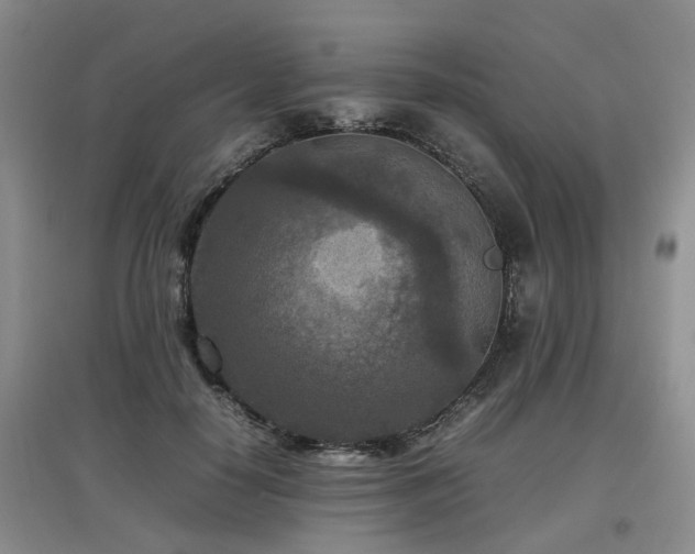 X0000097920650200803141442