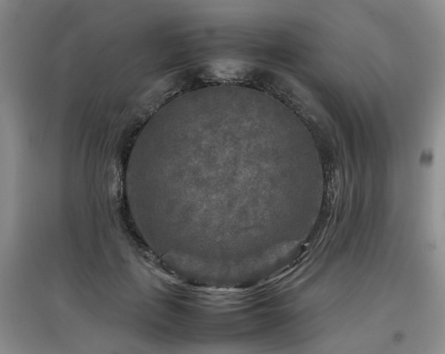 X0000097920651200803141442