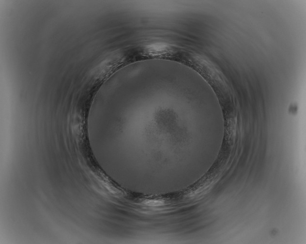 X0000097920653200803141442