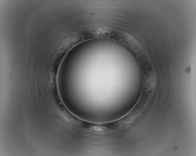 X0000097920654200803141442