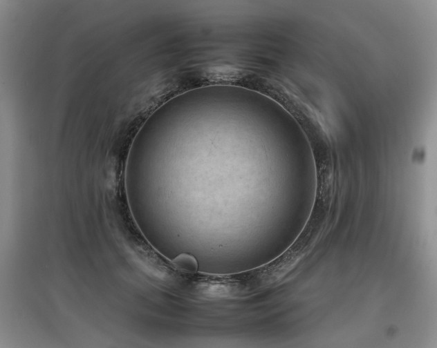 X0000097920655200803141442