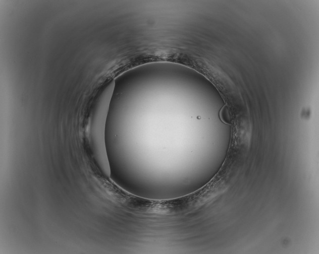 X0000097920656200803141442