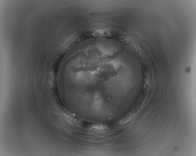 X0000097920659200803141442