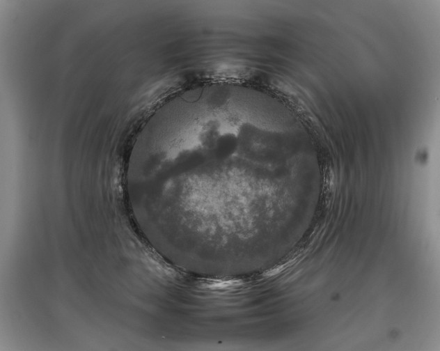 X0000097920663200803141442