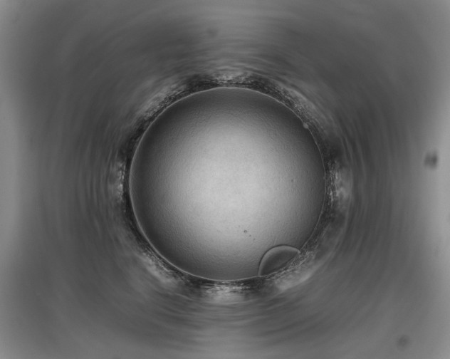 X0000097920664200803141442