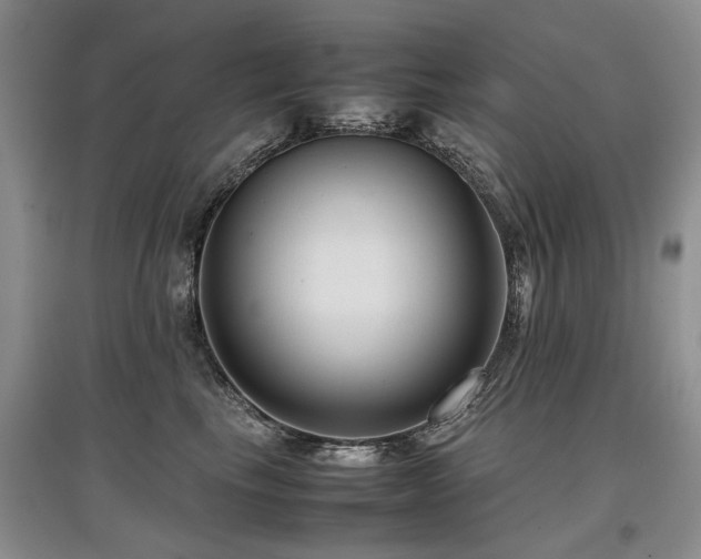 X0000097920665200803141442