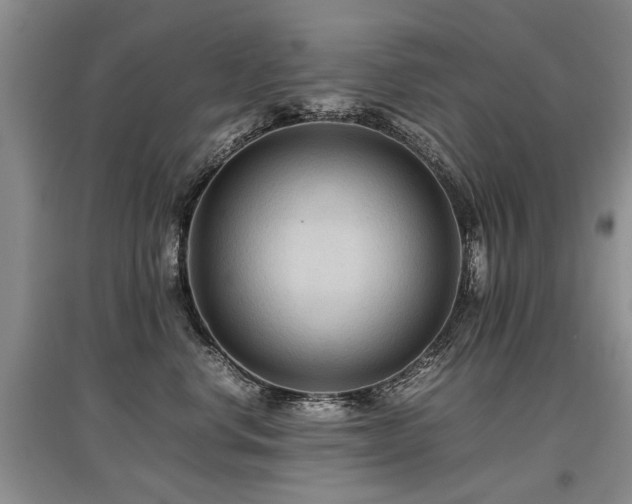 X0000097920668200803141442