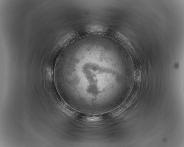 X0000097920669200803141442