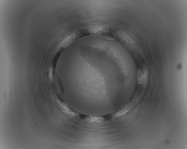 X0000097920670200803141442