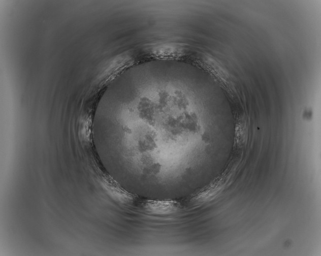 X0000097920671200803141442
