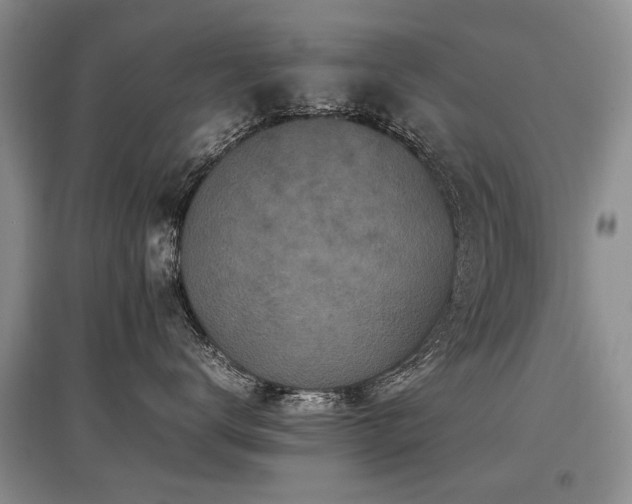 X0000097920672200803141442