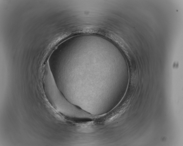 X0000097920673200803141441