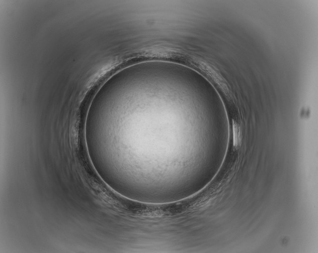 X0000097920675200803141441