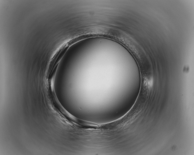 X0000097920676200803141441