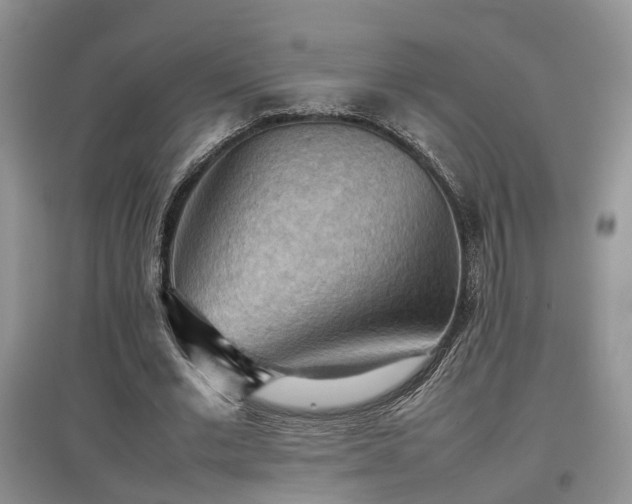 X0000097920677200803141441