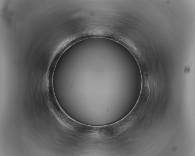 X0000097920678200803141441