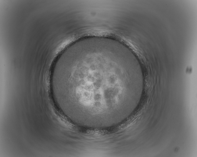 X0000097920679200803141441