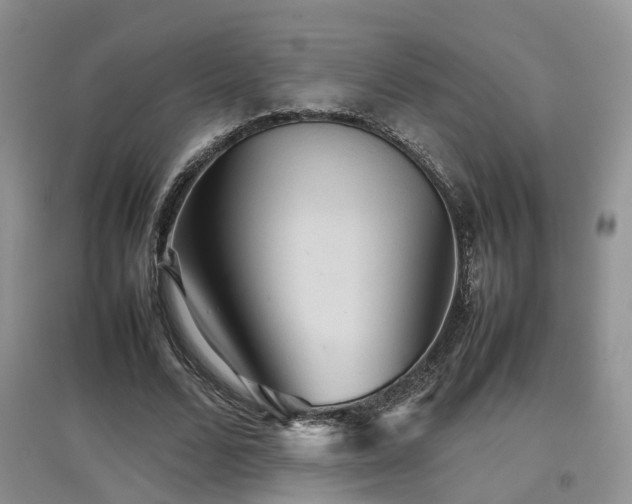 X0000097920680200803141441