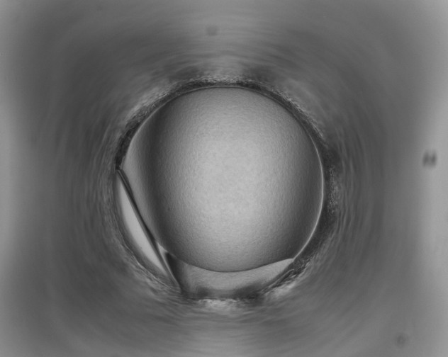 X0000097920681200803141441