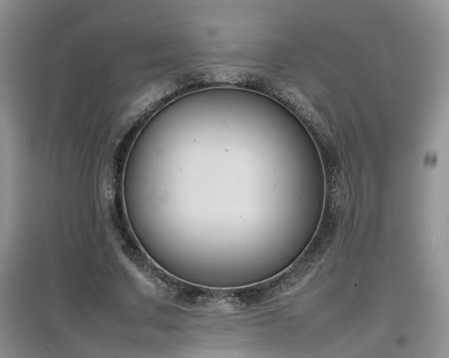 X0000097920683200803141441