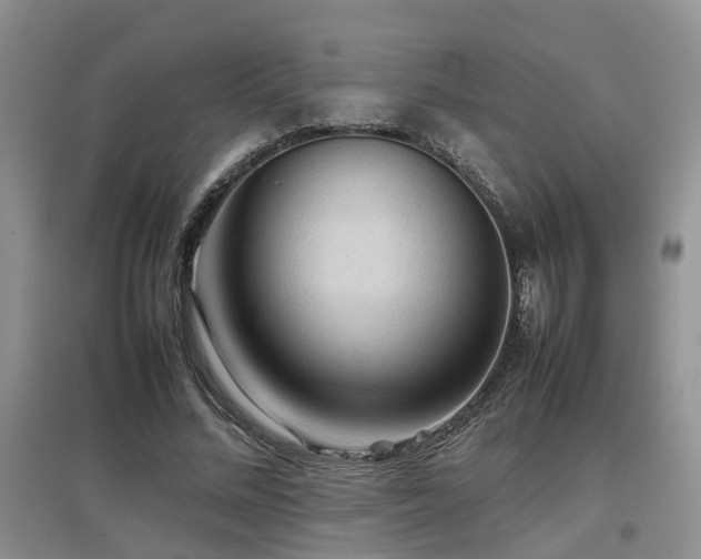 X0000097920684200803141441