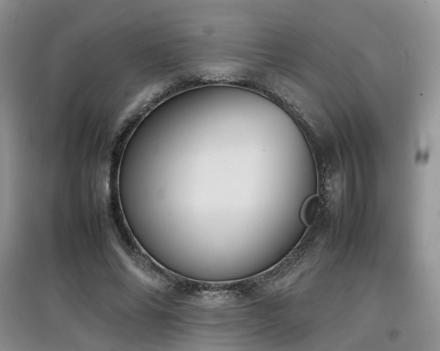 X0000097920686200803141441