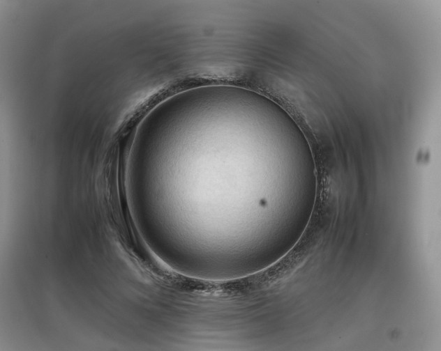 X0000097920688200803141441