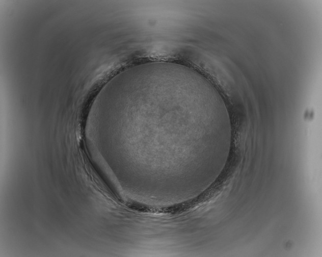 X0000097920689200803141441