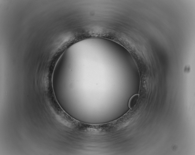 X0000097920690200803141441