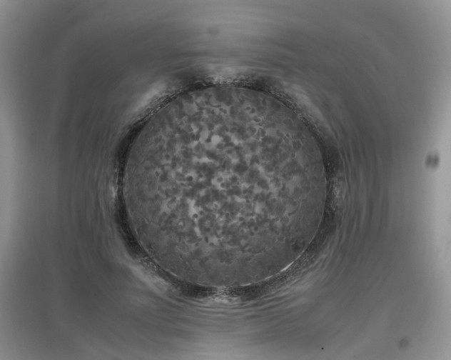 X0000097920691200803141441