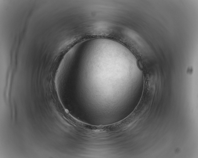 X0000097920692200803141441