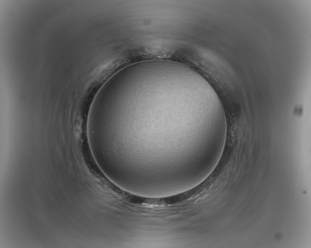 X0000097920693200803141441
