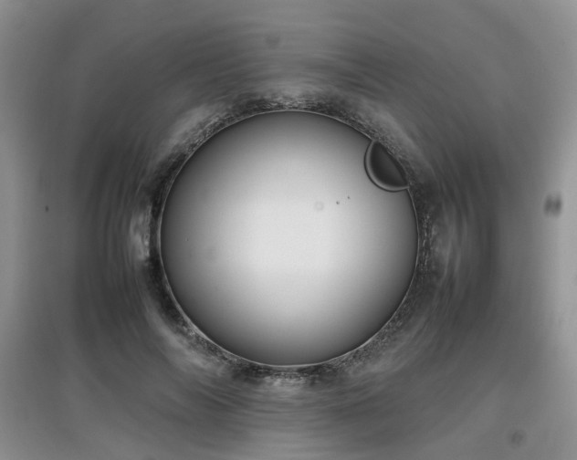 X0000097920694200803141441