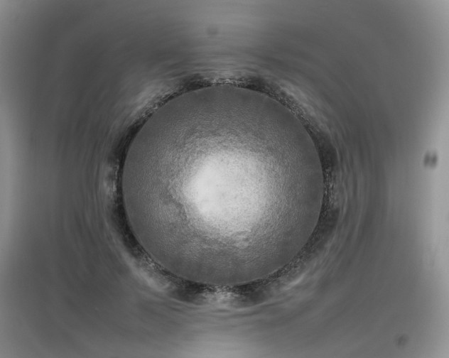 X0000097920695200803141441