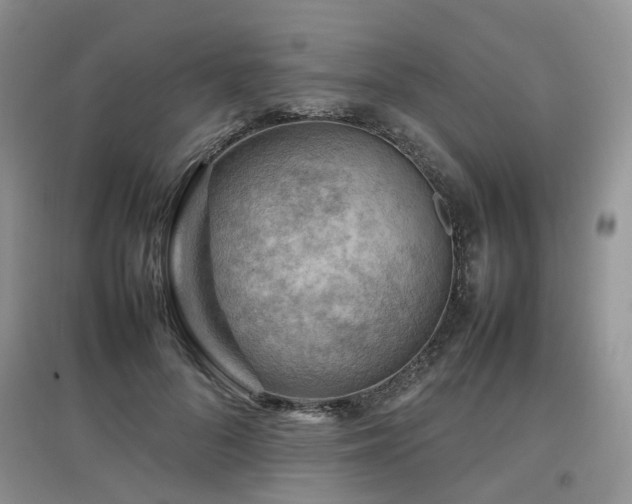 X0000097920696200803141441