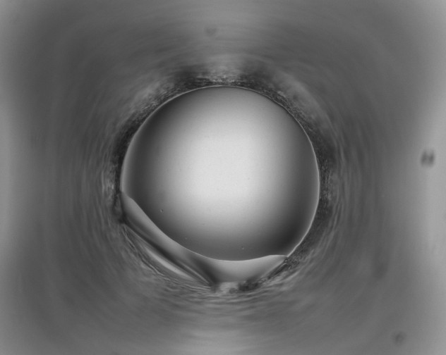 X0000097920697200803141441