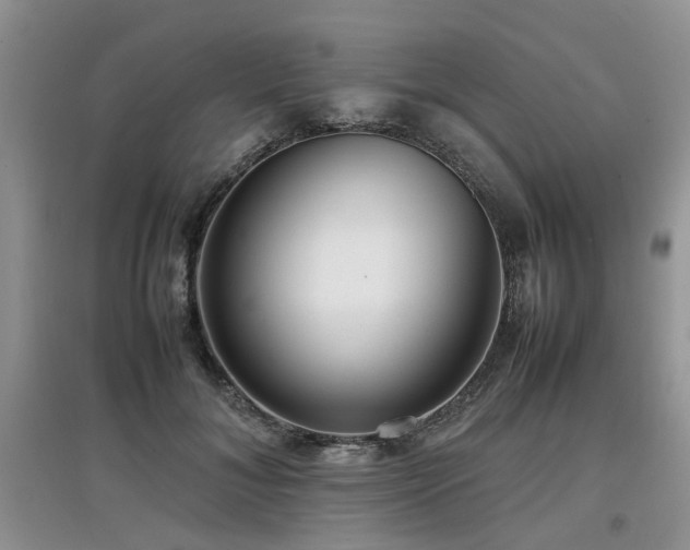 X0000097920700200803141441