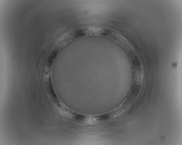 X0000097920701200803141441
