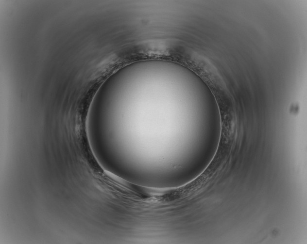 X0000097920704200803141441