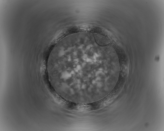 X0000097920707200803141441